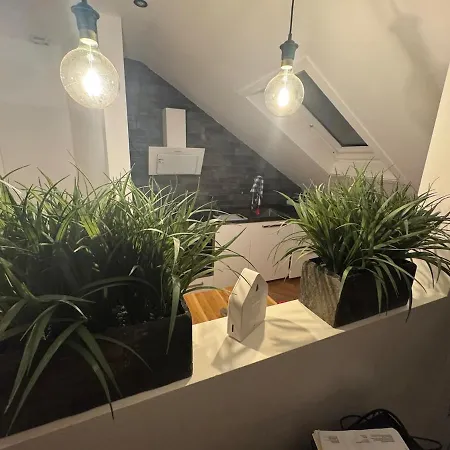 Inklusiver Grosser Terrasse Apartment Andernach